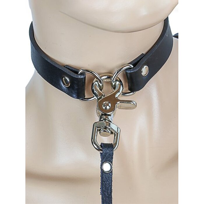 Leather Collar with Leash