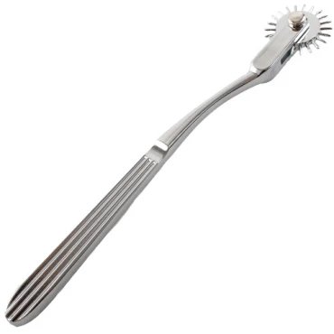 The Scritch Stainless Steel Wartenberg Pinwheel