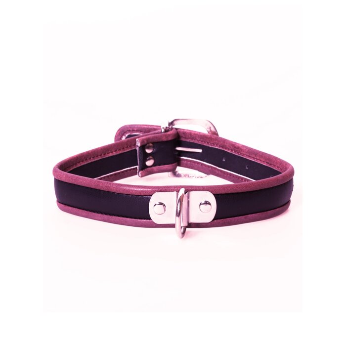 Black & Red Leather Collar