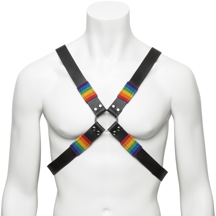 Bondage Boutique Rainbow and Leather Harness
