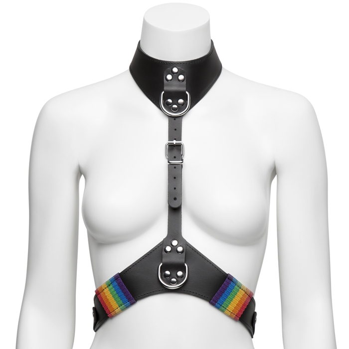 Bondage Boutique Rainbow and Leather Harness with Collar