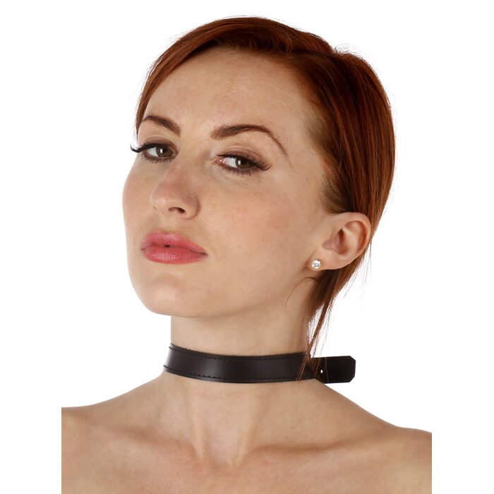 Leather Buckle Collar