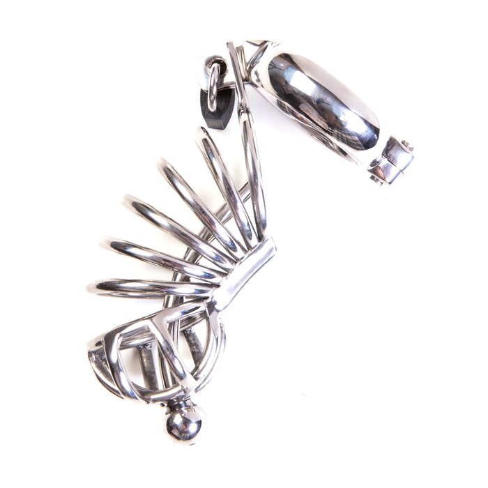 Asylum 6 Ring Locking Chastity Cage