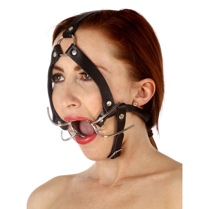 Leather Open Wide Head Harness