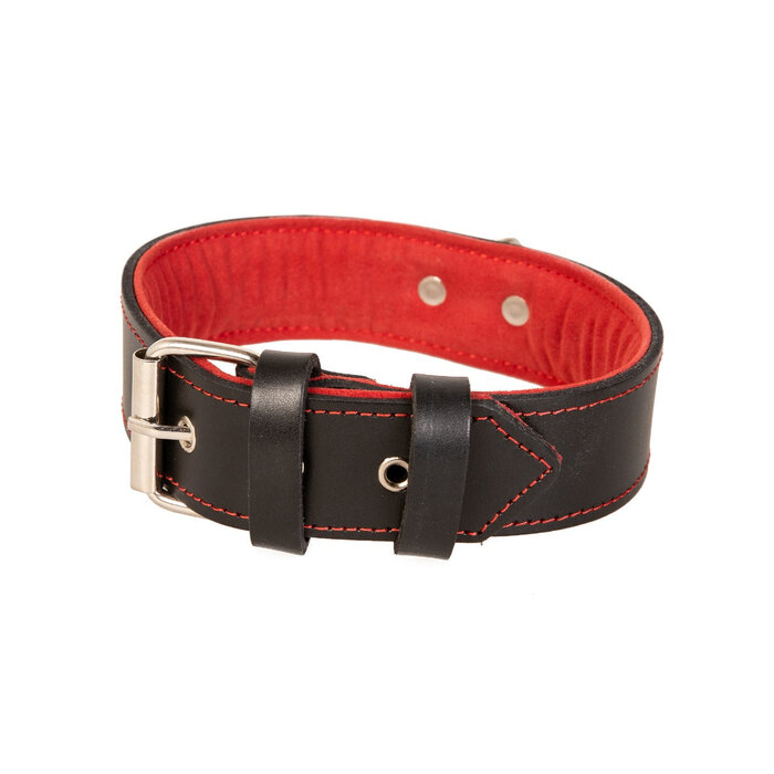 Red Trim Black Leather Collar With D Ring
