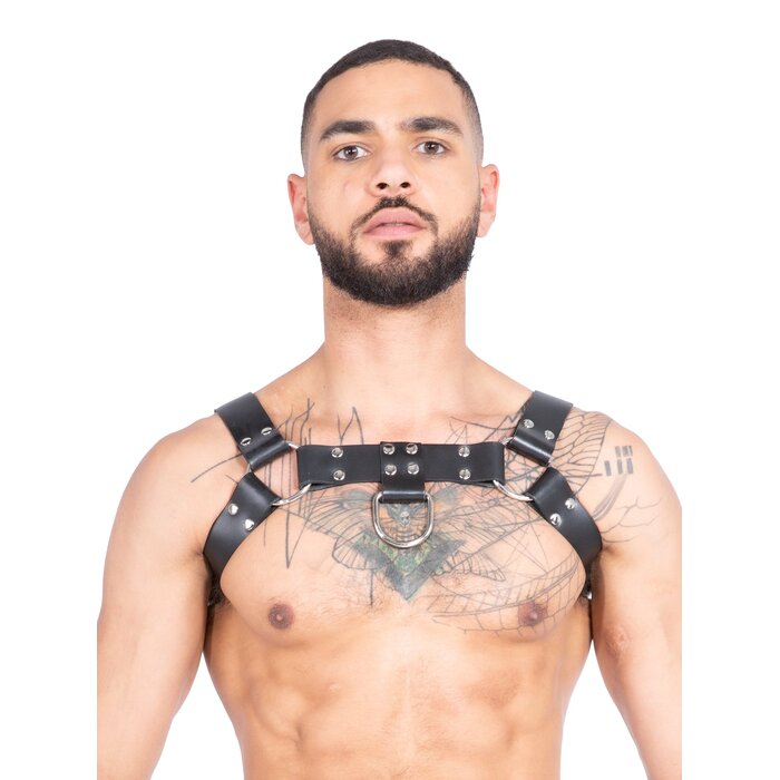 Men's Leather Chest Harness with D-ring