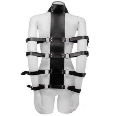 Armed & Amorous Collar To Arm Restraint