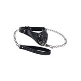 Velvet Noir Collar and Leash