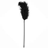 Bondage Boutique Luxury Ostrich Feather Tickler