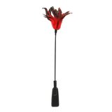 Feather Slapper