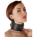 Leather Posture V Ring Collar