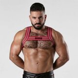 Locker Gear Backroom Harness - Red