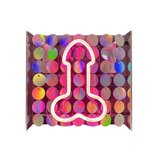 Neon Light Up Penis Sign