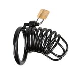 Black Metal Penis Cage with Padlock