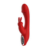 Red Revolution Artemis