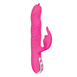 Passion Dolphin Heat Up - Pink