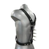 Harness With 2" Cone Spiked Backbone