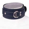 Sapphire Luxe Faux Leather Collar