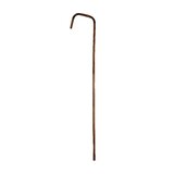Bamboo Cane