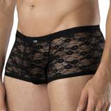 LHM All Over Lace Boxer Shorts