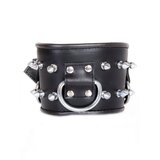 Leather Spike Posture Collar