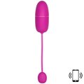 Daydream 12 Function App Controlled Vibrating Love Egg