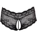 Cottelli Collection Cottelli Curves Black Lace Panties - Black - XL