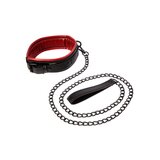 Saffron Collar and Leash