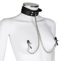 The Dual-Sensation Choker With Nipple Clamp Chains