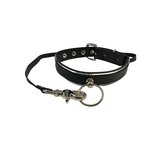 Metal & Leather Plated Collar With O Ring & Leash