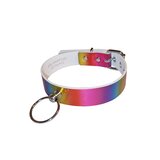 Slim O Ring Rainbow Collar