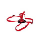 Sophia's Red Rider Harness Set