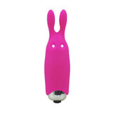 Adrien Lastic Pocket Vibe Pink Bunny