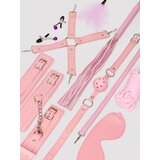Secret Pleasure Chest Pink Bondage Kit (11 Pieces) - Pink