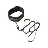 Take the Lead - Padded Neck Collar and Leash
