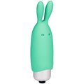 Hop To It Silicone 10-Speed Vibrating Bullet & Stimulator