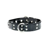 Vinyl D-Ring Black Collar