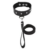 Leather Leash and Collar Set