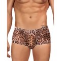 King Of The Jungle Leopard Print Boxer Briefs - L