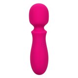 Bliss Liquid Silicone Mini Wand