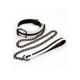 GLO Bondage - Collar and Leash