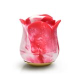 Sweet Kiss Kissing and Vibrating Clitoral Stimulator - Swirl