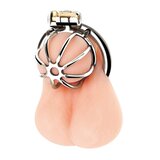 Little Cock Chastity Cage