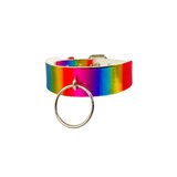 Wide Collar With 2 Inch O Ring - Rainbow