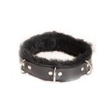 Fur-Lined Triple D-Ring Lockable Collar