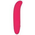 Sweet Spotter Pink Silicone Clit & G-Spot Vibrator