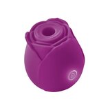 The One Rose - Purple