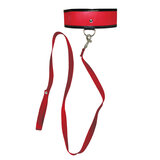 Red Leash and Collar