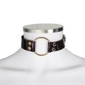 Obsidian Gaze Black & Gold O-Ring Collar