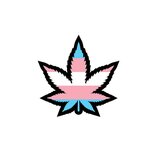 Trans Pride Leaf Enamel Pin